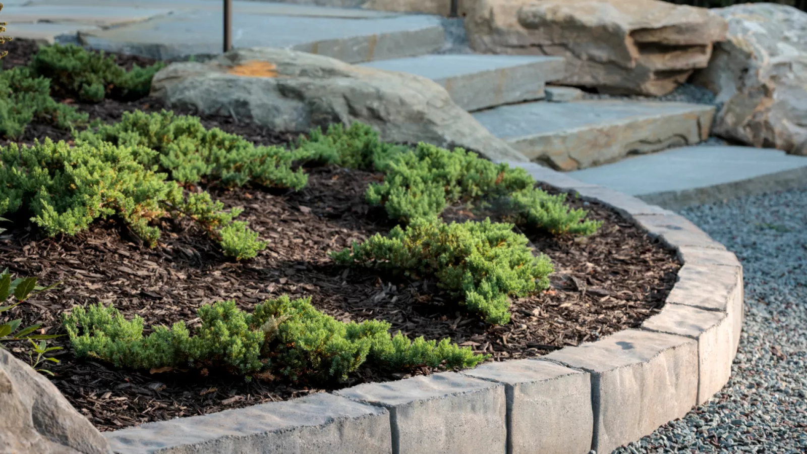 Close-up view of the Anglia Edger® showcasing its natural chiseled finish, tapered ends, and the unique blend of colors.